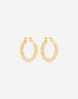 Twisted Hoop Earrings