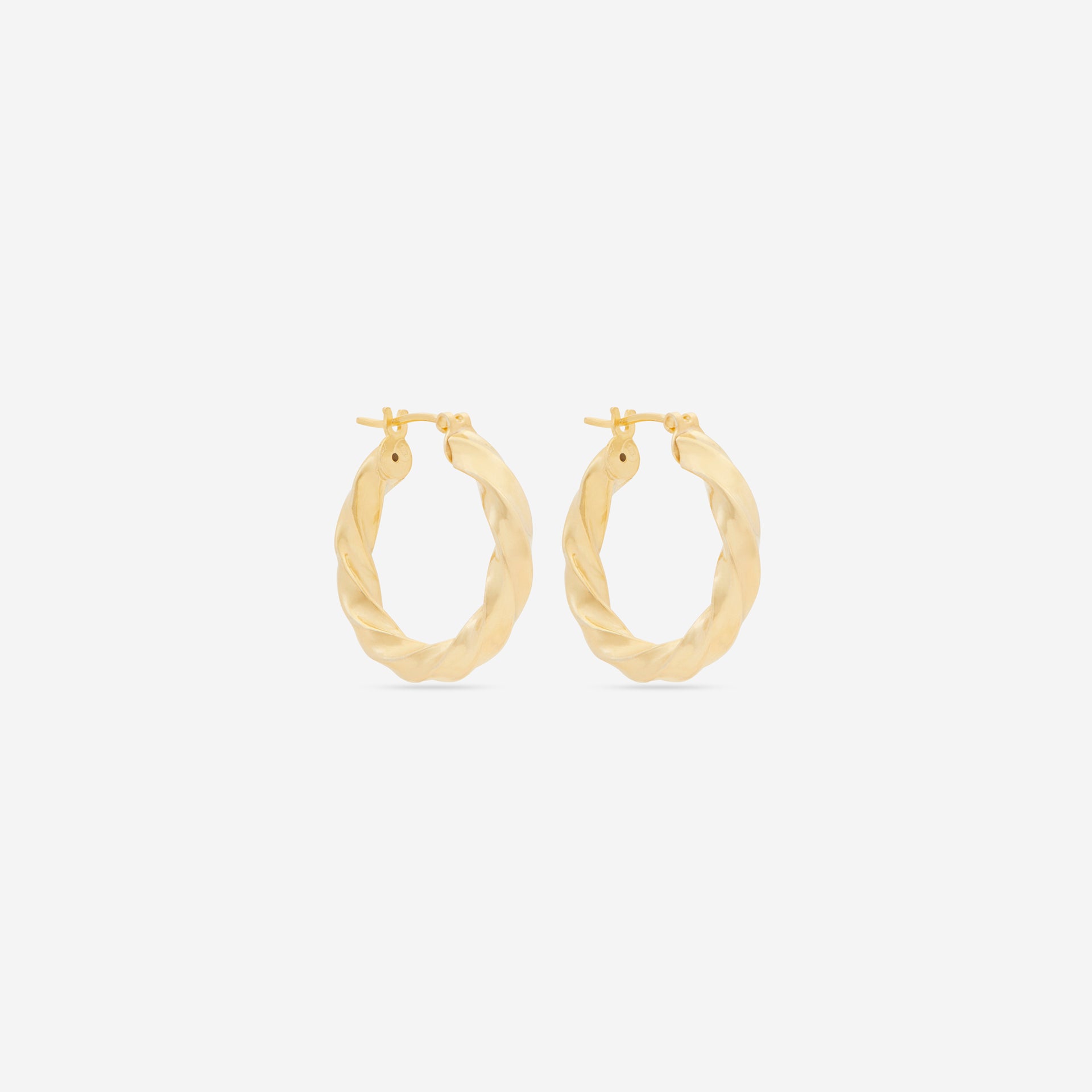 Twisted Hoop Earrings